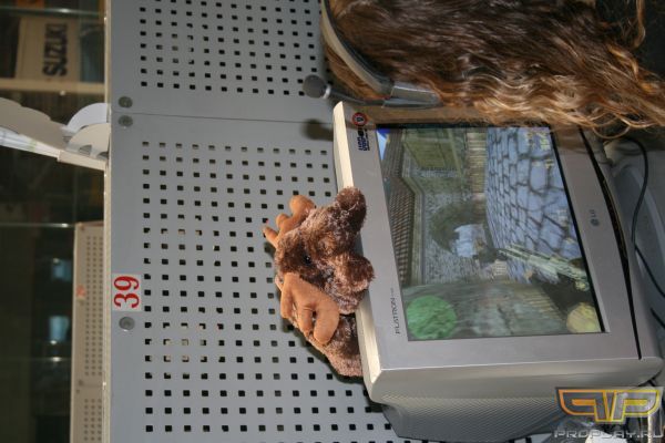 �������� ����