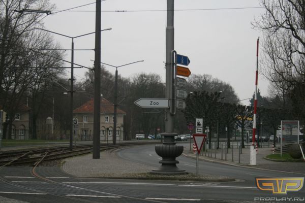 ����� ���� ���� �������