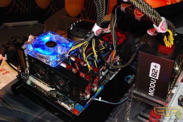 ����� �����