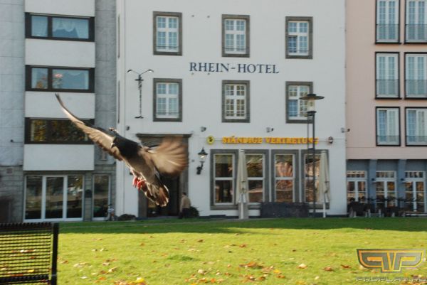 ������ �������