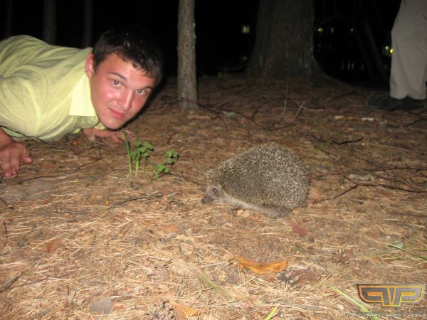 ����� ���������