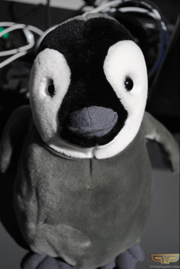 ������� ����� - 