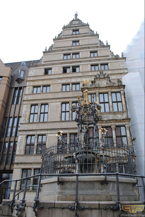 ���� ���������