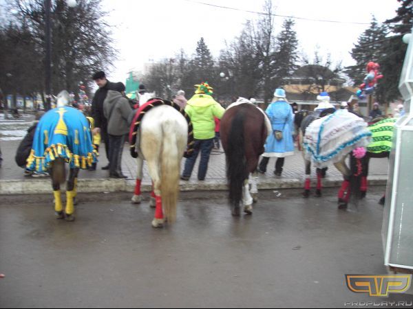 ������, ������� ����, ����� �������, ����