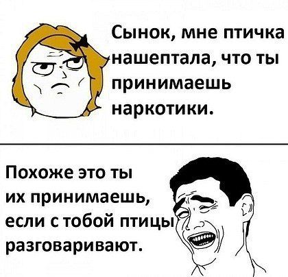 [�� �������]