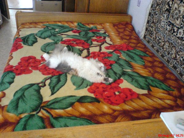 � ������� ^^