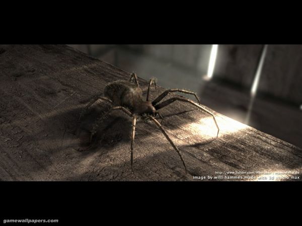 [�� �������]