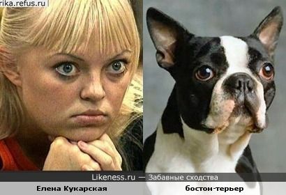 буйные ёпта блядь буйные ёпта блядь